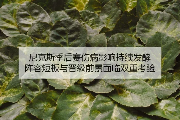 尼克斯季后赛伤病影响持续发酵 阵容短板与晋级前景面临双重考验